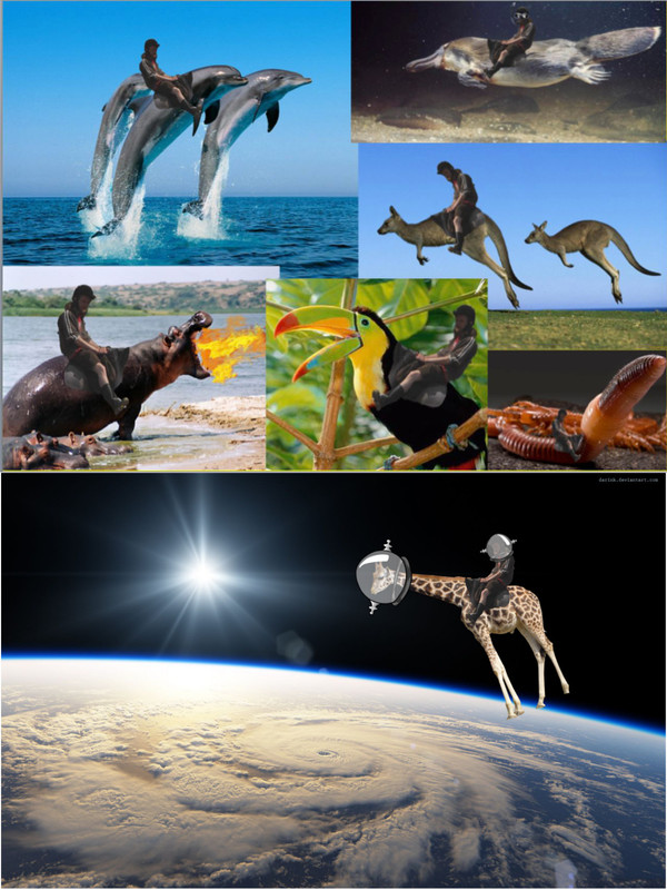 Senan riding, variously, dolphins, a platypus, kangaroos, a toucan, a giant slug, a fire-breathing hippo, and a giraffe in orbit
